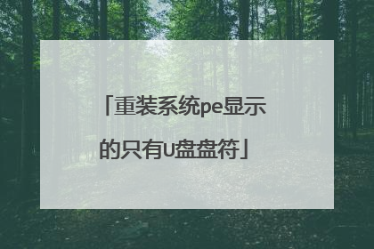 重装系统pe显示的只有U盘盘符