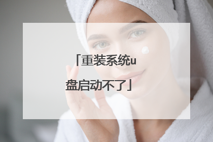 重装系统u盘启动不了