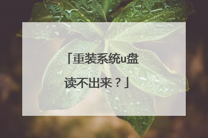 重装系统u盘读不出来?