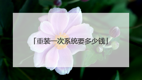 重装一次系统要多少钱