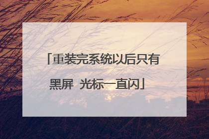 重装完系统以后只有黑屏 光标一直闪