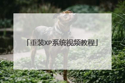 重装XP系统视频教程