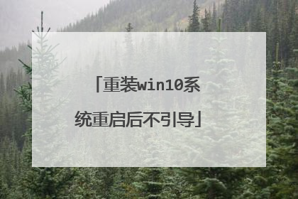 重装win10系统重启后不引导