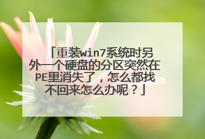 重装win7系统时另外一个硬盘的分区突然在PE里消失了,怎么都找不回来怎么办呢?