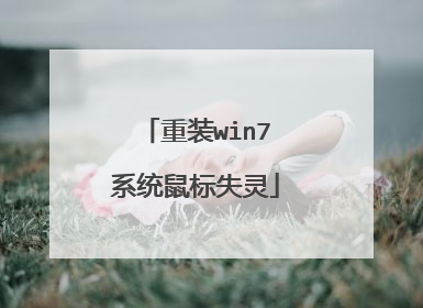 重装win7系统鼠标失灵