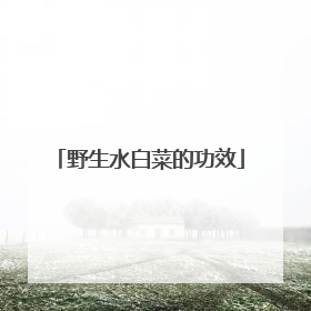 野生水白菜的功效