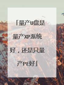 量产U盘是量产XP系统好，还是只量产PE好