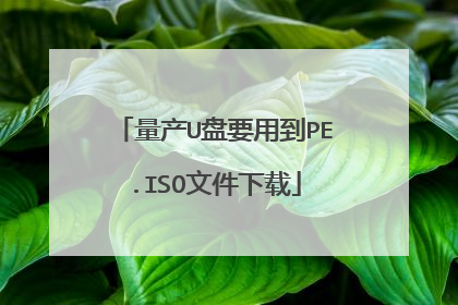 量产U盘要用到PE.ISO文件下载