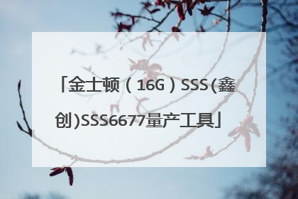 金士顿(16G)SSS(鑫创)SSS6677量产工具