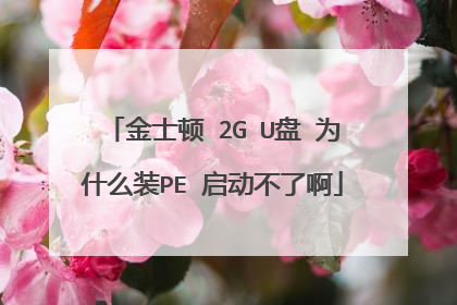 金士顿 2G U盘 为什么装PE 启动不了啊