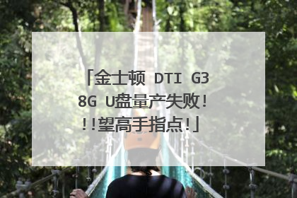 金士顿 DTI G3 8G U盘量产失败!!!望高手指点!