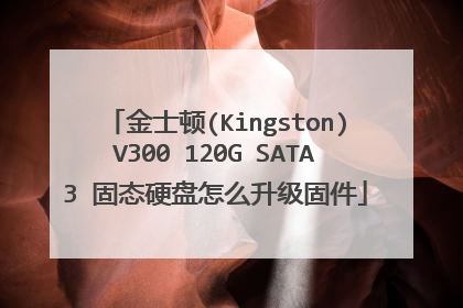 金士顿(Kingston)V300 120G SATA3 固态硬盘怎么升级固件