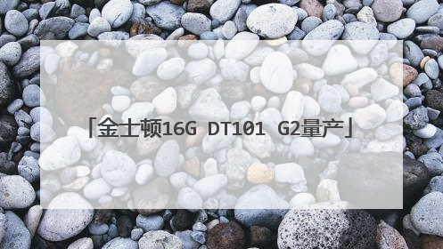 金士顿16G DT101 G2量产