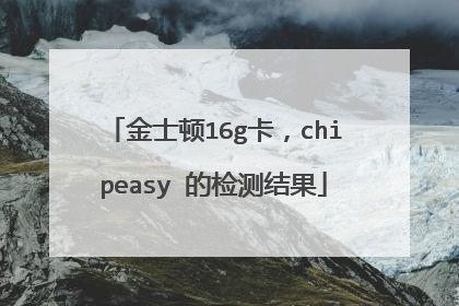 金士顿16g卡,chipeasy 的检测结果