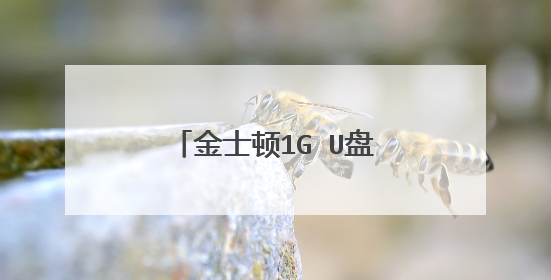 金士顿1G U盘能做启动盘吗？