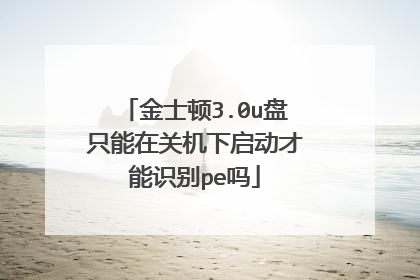 金士顿3.0u盘只能在关机下启动才能识别pe吗