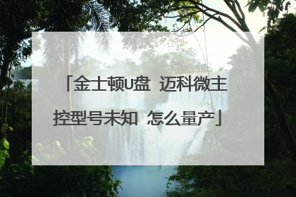 金士顿U盘 迈科微主控型号未知 怎么量产