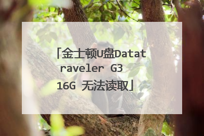 金士顿U盘Datatraveler G3 16G 无法读取