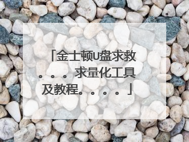 金士顿U盘求救。。。求量化工具及教程。。。。