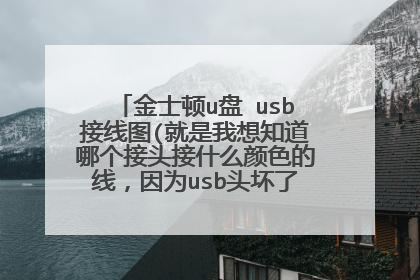 金士顿u盘 usb接线图(就是我想知道哪个接头接什么颜色的线,因为usb头坏了,准备换成usb线焊上去)谢谢!