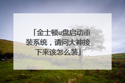 金士顿u盘启动重装系统,请问大神接下来该怎么装