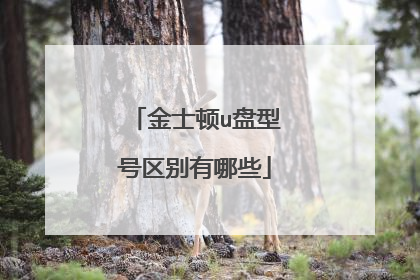 金士顿u盘型号区别有哪些