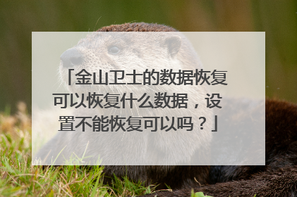 金山卫士的数据恢复可以恢复什么数据,设置不能恢复可以吗?