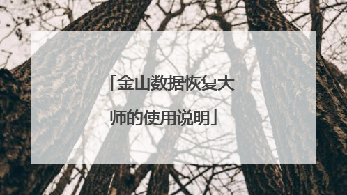 金山数据恢复大师的使用说明