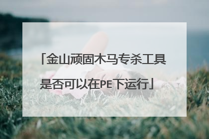 金山顽固木马专杀工具是否可以在PE下运行