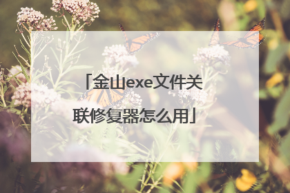 金山exe文件关联修复器怎么用