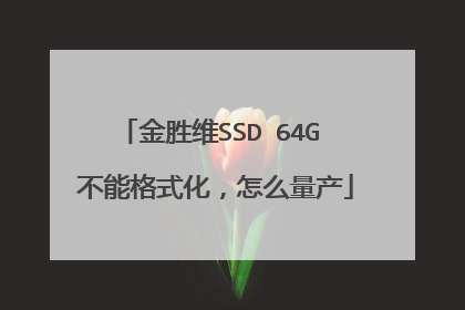 金胜维SSD 64G 不能格式化,怎么量产