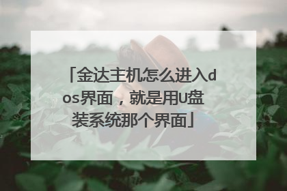 金达主机怎么进入dos界面,就是用U盘装系统那个界面