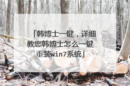 韩博士一键,详细教您韩博士怎么一键重装win7系统