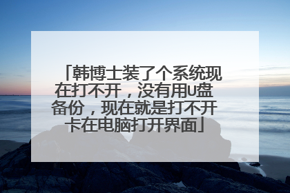 韩博士装了个系统现在打不开,没有用U盘备份,现在就是打不开卡在电脑打开界面
