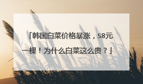 韩国白菜价格暴涨,58元一棵!为什么白菜这么贵?
