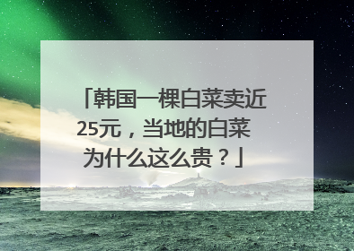 韩国一棵白菜卖近25元,当地的白菜为什么这么贵?