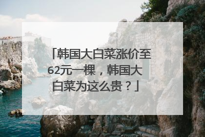 韩国大白菜涨价至62元一棵,韩国大白菜为这么贵?