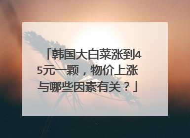 韩国大白菜涨到45元一颗,物价上涨与哪些因素有关?