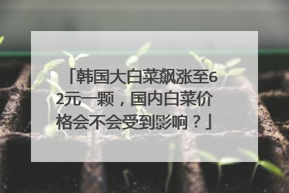 韩国大白菜飙涨至62元一颗,国内白菜价格会不会受到影响?