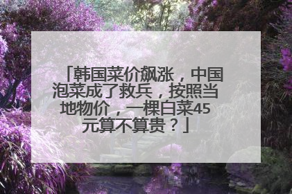 韩国菜价飙涨,中国泡菜成了救兵,按照当地物价,一棵白菜45元算不算贵?