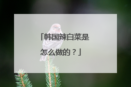 韩国辣白菜是怎么做的?