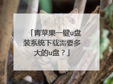 青苹果一键u盘装系统下载需要多大的u盘?