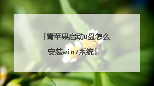 青苹果启动u盘怎么安装win7系统
