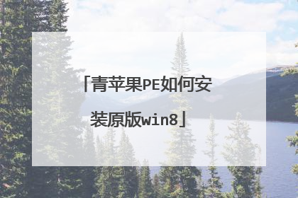 青苹果PE如何安装原版win8