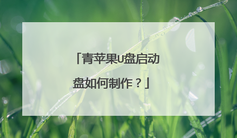 青苹果U盘启动盘如何制作?