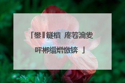 鐢║鐩樻�庝箞瀹夎�呯郴缁熷憿锛�