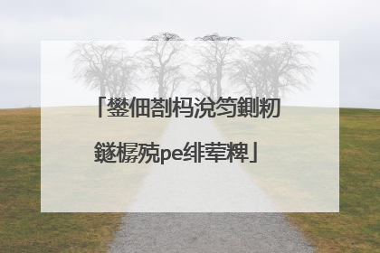 鐢佃剳杩涗笉鍘籾鐩樼殑pe绯荤粺