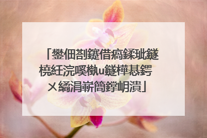 鐢佃剳鑳借瘑鍒玼鐩橈紝浣嗘槸u鐩樺惎鍔ㄨ繘涓嶄簡鐣岄潰