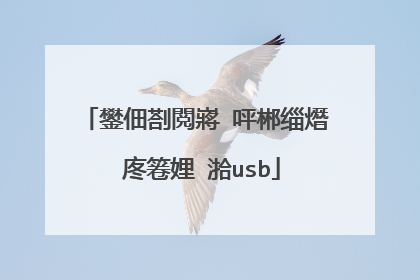 鐢佃剳閲嶈�呯郴缁熸�庝箞娌℃湁usb