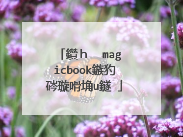 鑽h��magicbook鏃犳硶璇嗗埆u鐩�